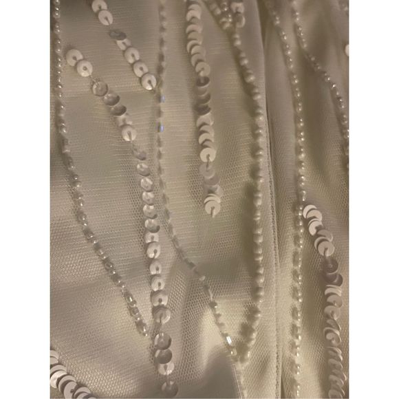 NWT Adrianna Papell size 14 Long Ivory Beaded Gown - Picture 11 of 16